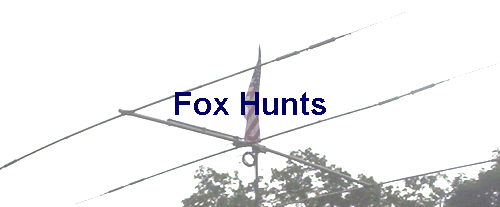 Fox Hunts